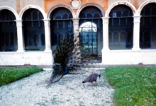 Archivio H. Baker 283