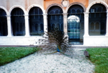 Archivio H. Baker 284
