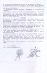 Statuto-Traduzione-giurata_007