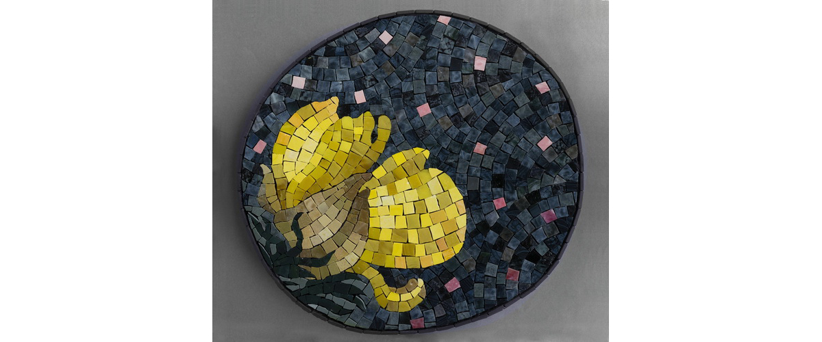 Alison Mac Cormaic -Gorse, Fragile Form