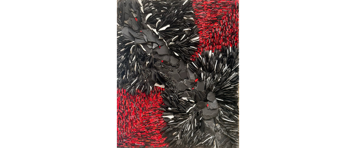 Francesca Camilla Pitetti-Geometrie nere
