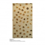 Bertanza Viviana – COSTELLAZIONE Bertanza Viviana – COSTELLAZIONE