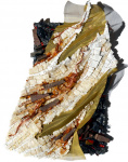 Rosangela-Kusma-Gasparin