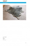 Installazioni_Musive_Edition-2009_05