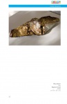 Installazioni_Musive_Edition-2009_10