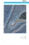 OpereDalMondo_Edition-2009_017