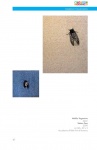 OpereDalMondo_Edition-2009_045