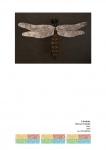 OpereDalMondo_Edition-2011_23