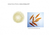 OpereDalMondo_Edition_2017_37