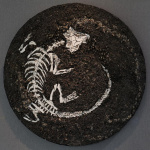 Huang-Yuxuan-Relics