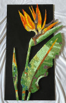 Rahka-Maryam-Bird-of-Paradise